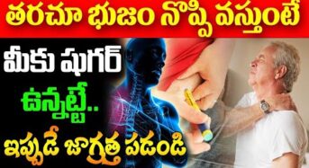 రోజు భుజం నొప్పి వస్తుందా .. అయితే మీకు షుగర్ ఉన్నట్టే .. ఇప్పుడే జాగ్రత్త పడండి ..!