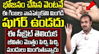 ఈ గింజలు నానబెట్టి మింగితే చాలు షుగర్ ఉండదు …