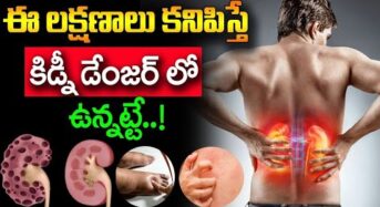 ఈ లక్షణాలు కనిపిస్తే కిడ్నీ డేంజర్ లో ఉన్నట్టే…!