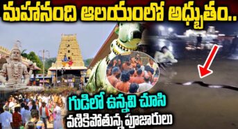 మహానంది ఆలయంలో అధ్బుతం.. గుడిలో ఉన్నవి చూసి వణికిపోతున్న పూజారులు….