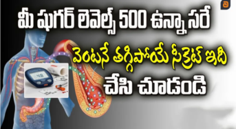 షుగర్ 500 ఉన్నా సరే .. మీరు 15 రోజుల్లో ఇలా తగ్గించుకోండి…!