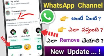 WhatsApp Channels: క్రికెట్, సినిమా అప్⁬డేట్స్.. ఇకపై వాట్సాప్ నుంచి!