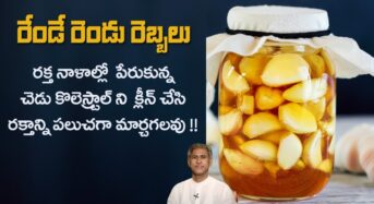 రోజూ పరగ‌డుపున రెండు రెబ్బల‌ను తింటే చాలు.. డాక్టర్స్ వ‌ద్ద‌కు వెళ్లాల్సిన ప‌ని లేదు..!