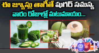 Diabetes : ఈ జ్యూస్ లు తాగితే షుగర్ సమస్య వారం రోజులలో మటుమాయం…