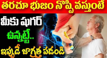 Sugar Patients : రోజు భుజం నొప్పి వస్తుందా .. అయితే మీకు షుగర్ ఉన్నట్టే .. ఇప్పుడే జాగ్రత్త పడండి ..!