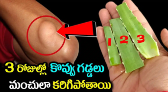 Health Tips : మూడు రోజులలో కొవ్వు గడ్డలు మంచలా కరిగిపోతాయి..