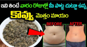 stomach : ఇవి తింటే వారం రోజుల్లో మీ పొట్ట చుట్టూ ఉన్న కొవ్వు మొత్తం మాయం…!