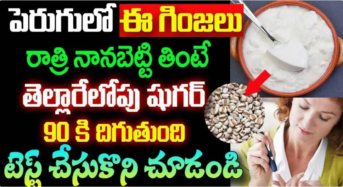 Curd : పెరుగులో ఈ గింజలు నానబెట్టి తింటే షుగర్ 90 కి దిగిపోతుంది..!