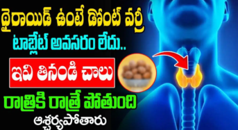 Thyroid : టాబ్లెట్లు వేసుకునే పని లేకుండా థైరాయిడ్ పరార్…!!