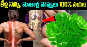 Slip Disc Pains – Joint Pains : కీళ్ల నొప్పులు, మోకాళ్ళ నొప్పులు 100% నయమవుతాయి…!!