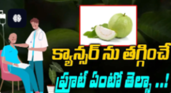 Guava : క్యాన్సర్ ను తగ్గించే ఫ్రూట్స్ ఏంటో తెలుసా..? తెలిస్తే ఆశ్చర్యపోతారు..!