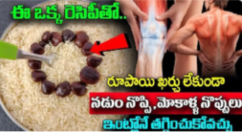 Joint Pains : ఈ ఒక్క రెసిపీతో రూపాయి ఖర్చు లేకుండా మోకాళ్ల నొప్పులు, నడుము నొప్పి ఇంట్లోనే తగ్గించుకోవచ్చు…!