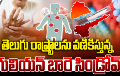  GBS Virus : ఏంట్రా బాబు ఈ వైరస్ల బాధ..మరో కొత్త వైరస్.. ఈ వ్యాధి లక్షణాలు ..ఇది ఎలా వస్తుంది…?