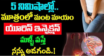 Urine Infection : 5 నిమిషాలలోమూత్రంలో మంట మాయం… యూరిన్ ఇన్ఫెక్షన్ మళ్లీ వచ్చే అవకాశమే ఉండదు..!