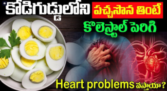 Heart Problems : కోడిగుడ్డులోని పచ్చ సోన తింటే కొలెస్ట్రాల్ పెరిగి గుండె సమస్యలు వస్తాయా…