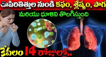 Lungs : కేవలం 14 రోజులలో ఊపిరితిత్తుల నుండి కఫం, శ్లేషం, పొగ మరియు ధూళిని తొలగిస్తుంది…!