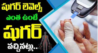 Diabetes : డ‌యాబెటిస్ వ‌చ్చింద‌ని ఎలా తెలుసుకోవాలి.. నార్మ‌ల్‌గా షుగ‌ర్ ఎంతుంటే మ‌నం సేఫ్‌..?