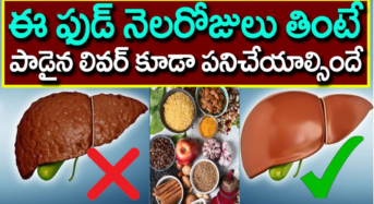 Liver : ఈ ఫుడ్ నెలరోజులు తింటే పాడైపోయిన లివర్ కూడా పనిచేయా ల్సిందే…!
