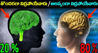 Sleep And Brain Function : తొందరగా నిద్రపోయేవారు 20%… ఆలస్యంగా నిద్రపోయేవారు 80%…