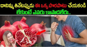 Pomegranate : దానిమ్మ తినేటప్పుడు ఈ ఒక్క పొరపాటు చేయకండి… లేకుంటే ఎవరు కాపాడలేరు..!