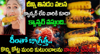 Corn Mokkajonna : దీన్ని తినడం వలన క్యాన్సర్ లేని వారికి కూడా క్యాన్సర్ వస్తుంది…!