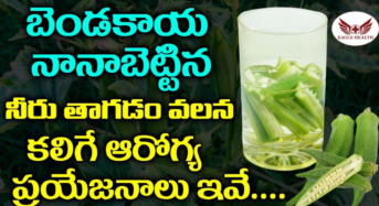 Mens Health : పురుషులకు 30 దాటితే.. ఈ జిగురు నీటిని తాగాల్సిందే.. ఎందుకో తెలుసా..?