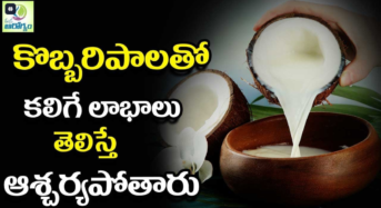 Coconut Milk : కొబ్బరి పాలతో కలిగే లాభాలు తెలిస్తే ఆశ్చర్యపోతారు…!