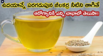 Cumin Water : : ఉదయాన్నే ఖాళీ కడుపున పసుపు జీలకర్ర నీరు తాగితే… ఏం జరుగుతుందో తెలుసా…?