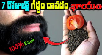 Beard Grow Tips : 2సార్లు రాస్తే చాలు.. మీ గడ్డం గుబురుగా పెరుగుతుంది…!!