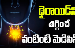 Ayurvedic Tips For Thyroid : థైరాయిడ్ స‌మ‌స్య‌తో బాధ‌ప‌డుతున్నారా.. అయితే ఈ ఆయుర్వేద చిట్కాల‌ను పాటించండి..!