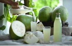 Gourd Juice : మీరు ఎప్పుడైనా బూడిద గుమ్మకాయ జ్యూస్ ని తాగారా…. అయితే ఏం జరుగుతుందో తెలుసుకోండి…