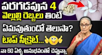 పరగడుపున వెల్లుల్లి ఇలా తీసుకుంటే చాలు… అబ్బాయిలు ఈ విషయాలు తప్పక తెలుసుకోవాలి…!