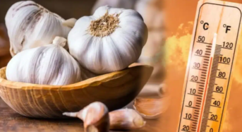 Summer Tips : ఎండాకాలంలో వెల్లుల్లిని అతిగా తింటున్నారా… అయితే, మీరు డేంజర్ లో ఉన్నట్లే…?