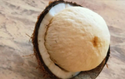 Coconut Flower Benefits : కొబ్బరి పువ్వు వల్ల కలిగే న‌మ్మ‌లేని ఆరోగ్య‌ ప్రయోజనాలు