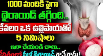 కేవలం ఒక్క ఉల్లిపాయతో 5 నిమిషాలు ఇలా చేయండి చాలు… జీవితంలో మళ్ళీ థైరాయిడ్ రానే రాదు…!