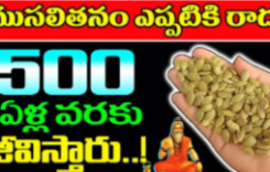 వీటిని తిన్నారంటే ఎప్పటికీ ముసలితనం రాదు.. 500 ఏళ్ల వరకు జీవిస్తారు…!