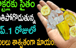 డాక్టర్లకే మతి పోగోడుతున్న టిప్.. ఇలా చేస్తే ఒక్క రోజులోనే మొలలు శాశ్వతంగా మాయం