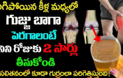 అరిగిపోయిన కీళ్ల మధ్యలో గుజ్జు బాగా పెరగాలంటే దీనిని రోజుకు రెండు సార్లు తీసుకోండి…!