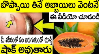 బొప్పాయి తింటున్నారా.? అయితే అబ్బాయిలు జాగ్రత్త..!!