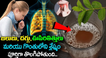 జలుబు, దగ్గు, ఊపిరితిత్తులు మరియు గొంతులోని స్లేష్మం పూర్తిగా తొలగిపోతుంది…!!