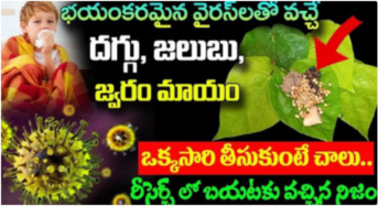 ఈ ఒక్క ఆకుతో ప్రమాదకరమైన వైరస్ లతో వచ్చే జలుబు, దగ్గు, జ్వరం మటాష్…