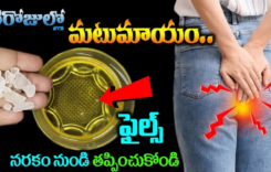Piles : ఎంతటి భయంకరమైన ఫైల్స్ అయినా 3 రోజులలో మటుమాయం…!