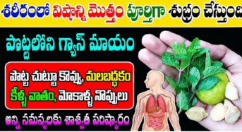 పొట్ట చుట్టూ ఉన్న కొవ్వు మాయం.. కీళ్ల నొప్పులు, మలబద్దకం, గ్యాస్ సమస్యలు ఎప్పటికీ రావు…!!