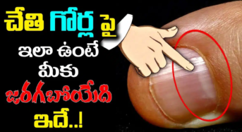 చేతి గోర్ల పై ఇలా ఉంటే మీకు జరగబోయేది ఇదే…!!