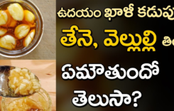 తేనె+వెల్లుల్లి మిశ్రమం.. ఖాళీ కడుపుతో తీసుకుంటే శరీరానికి ఎనలేని మేలు!
