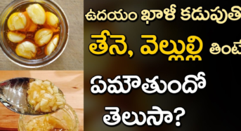 తేనె+వెల్లుల్లి మిశ్రమం.. ఖాళీ కడుపుతో తీసుకుంటే శరీరానికి ఎనలేని మేలు!
