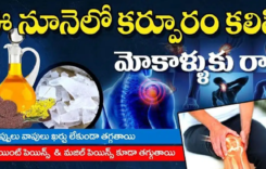 ఈ నూనెలో కర్పూరం కలిపి మోకాళ్ళకు రాస్తే నొప్పులు, వాపులు ఖర్చు లేకుండా తగ్గుతాయి ..!!