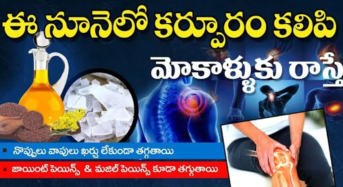 ఈ నూనెలో కర్పూరం కలిపి మోకాళ్ళకు రాస్తే నొప్పులు, వాపులు ఖర్చు లేకుండా తగ్గుతాయి ..!!