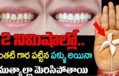 2 నిమిషాల్లో ఎంతటి గార పట్టిన పళ్ళు అయిన ముత్యాల మెరిసిపోతాయి..!
