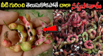 వీటి గురించి తెలుసుకోకపోతే చాలా నష్టపోతారు…!!